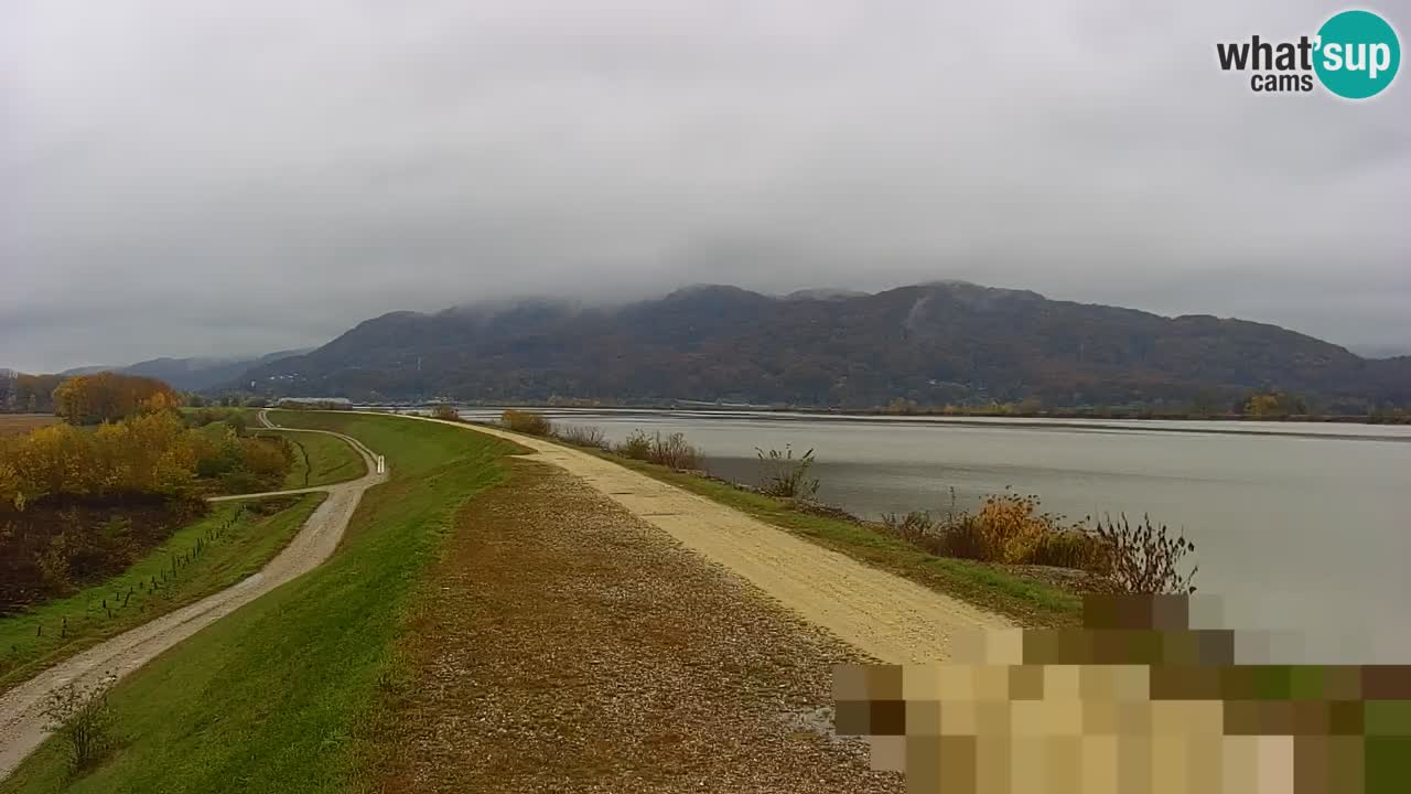 Spletna kamera v živo Brežiško jezero na reki Savi – Slovenija