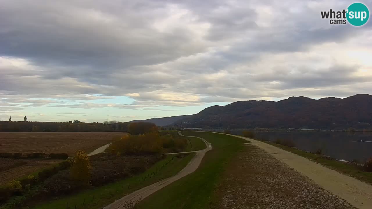 Live Webcam Lago di Brežice sul fiume Sava – Slovenia