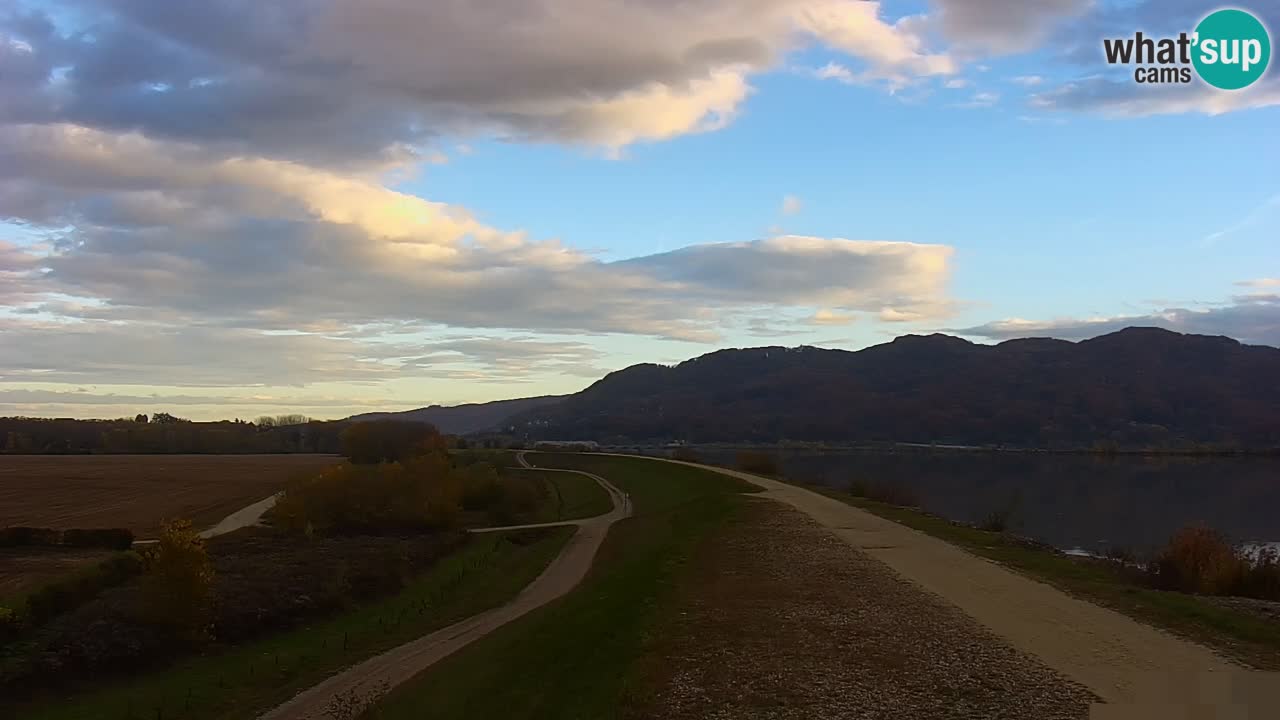 Live Webcam Lago di Brežice sul fiume Sava – Slovenia