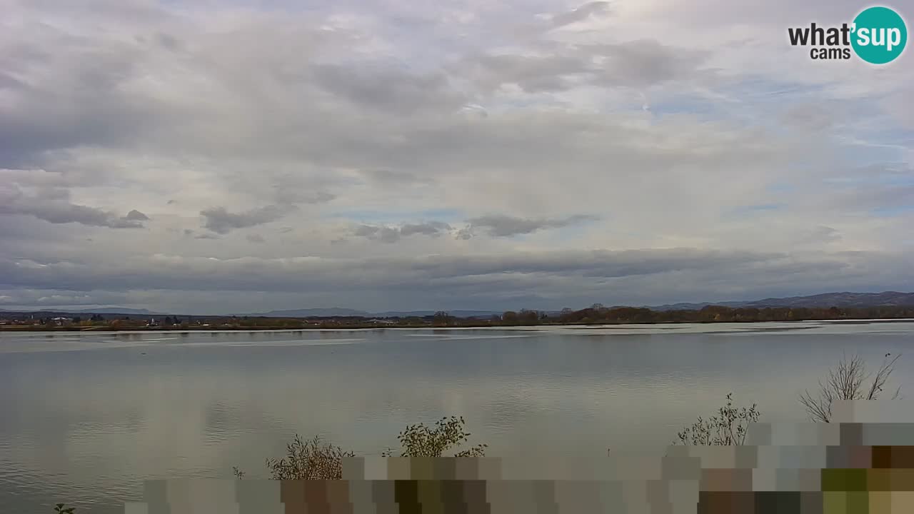 Live Webcam Brežice See am Fluss Sava – Slowenien