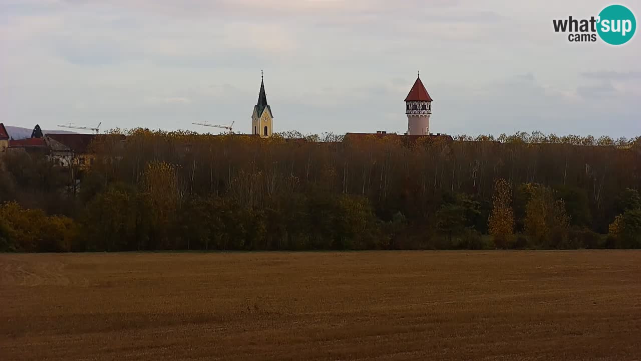 Live Webcam Brežice See am Fluss Sava – Slowenien