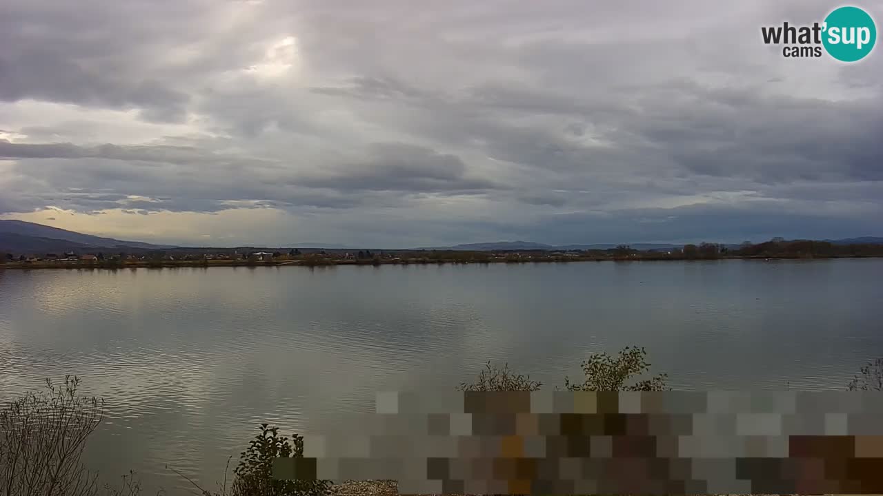 Live Webcam Brežice lake on Sava river – Slovenia