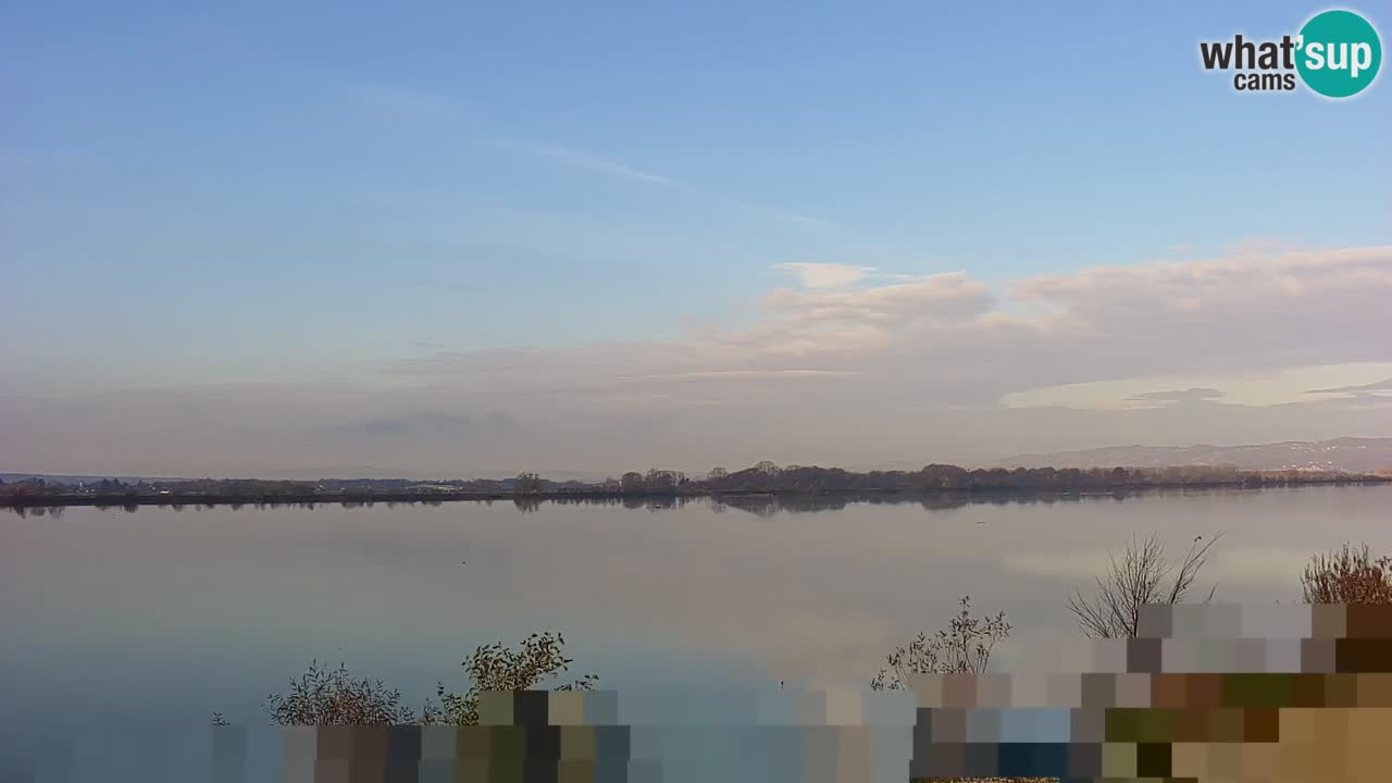Web kamera uživo Jezero Brežice na rijeci Savi – Slovenija