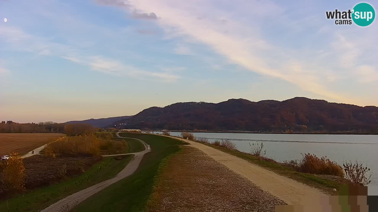 Webcam en direct Lac Brežice sur la rivière Sava – Slovénie