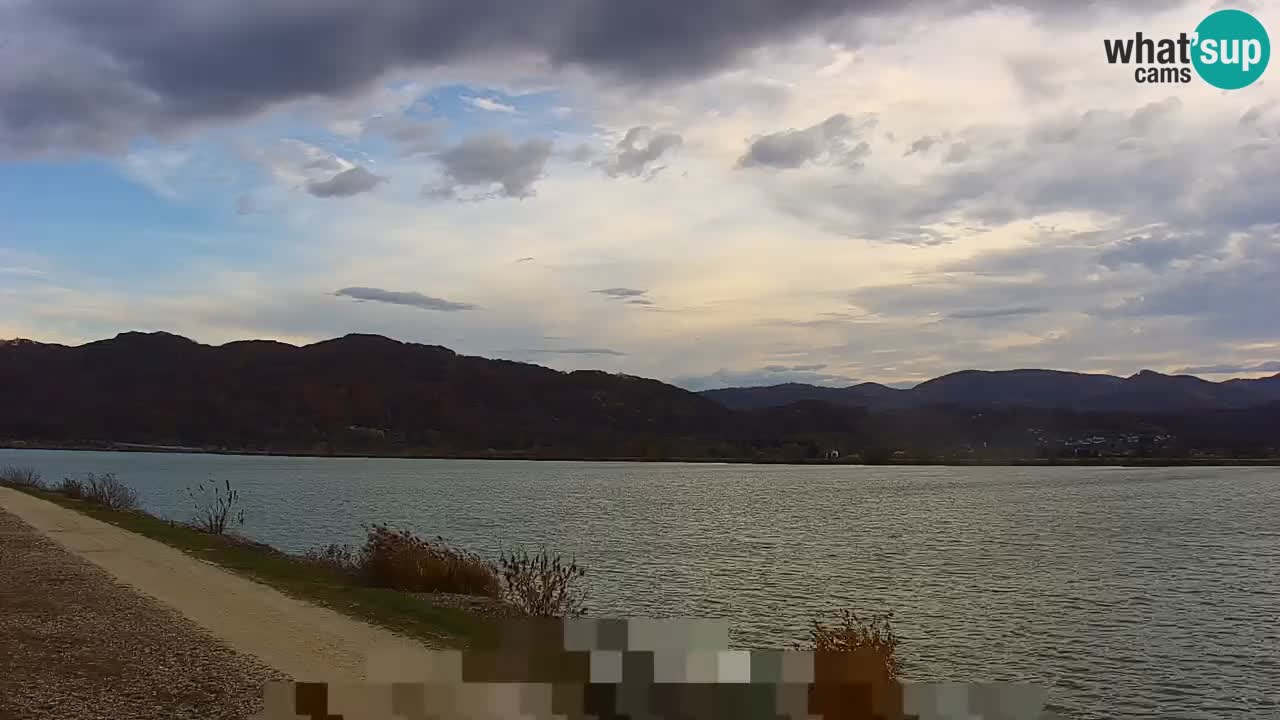 Spletna kamera v živo Brežiško jezero na reki Savi – Slovenija