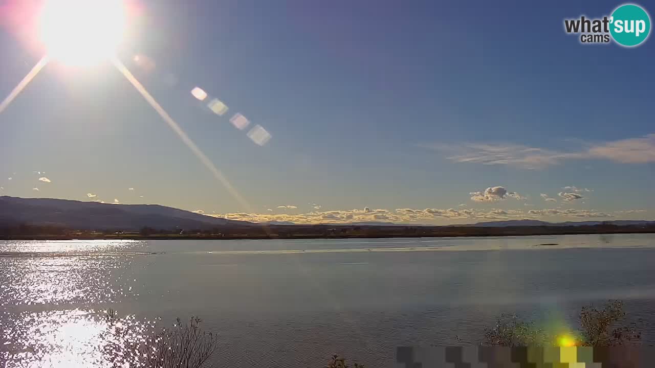 Live Webcam Brežice See am Fluss Sava – Slowenien