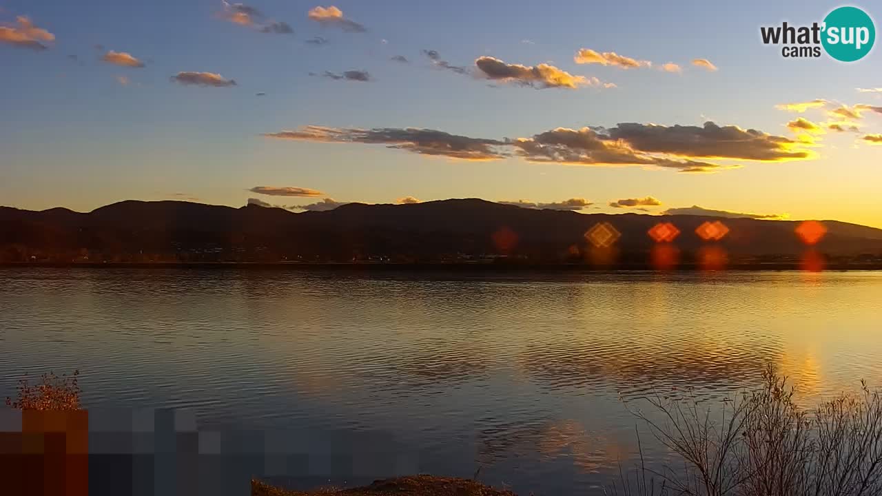 Live Webcam Brežice See am Fluss Sava – Slowenien