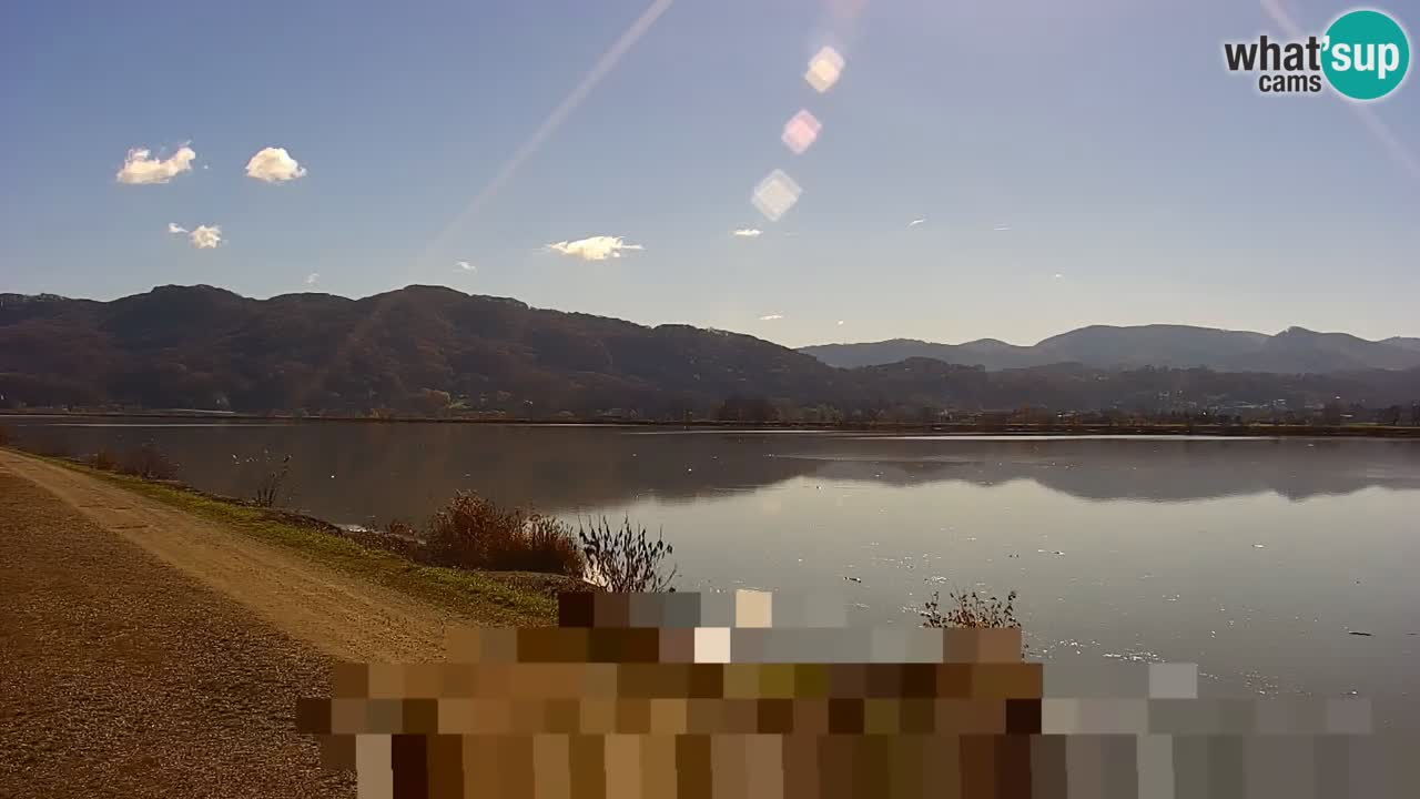 Live Webcam Brežice See am Fluss Sava – Slowenien