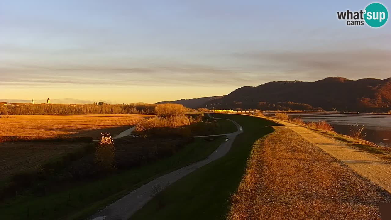 Webcam en direct Lac Brežice sur la rivière Sava – Slovénie