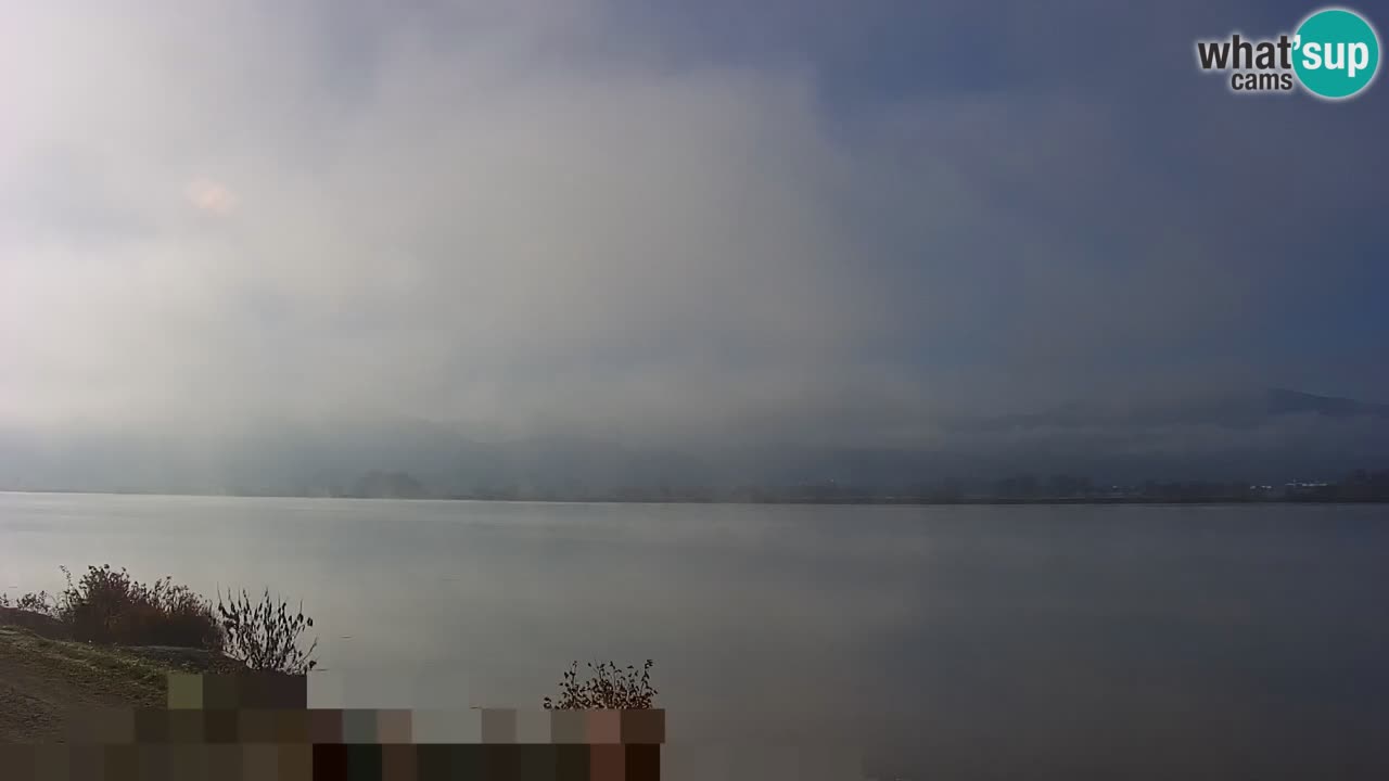 Webcam en direct Lac Brežice sur la rivière Sava – Slovénie