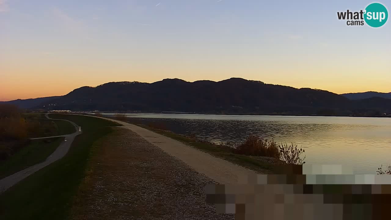 Webcam en vivo lago Brežice en el río Sava – Eslovenia