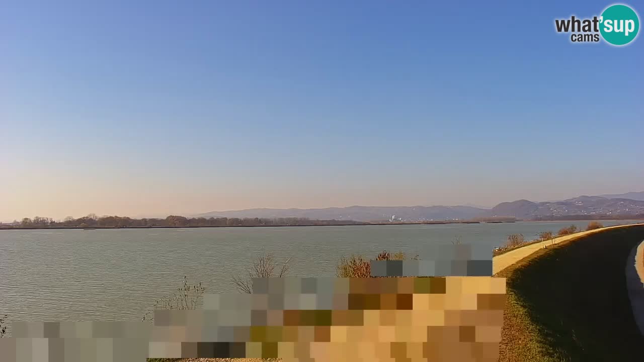 Live Webcam Brežice lake on Sava river – Slovenia