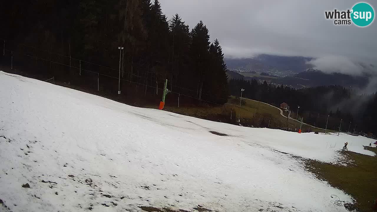 Live webcam Ski center Bukovnik