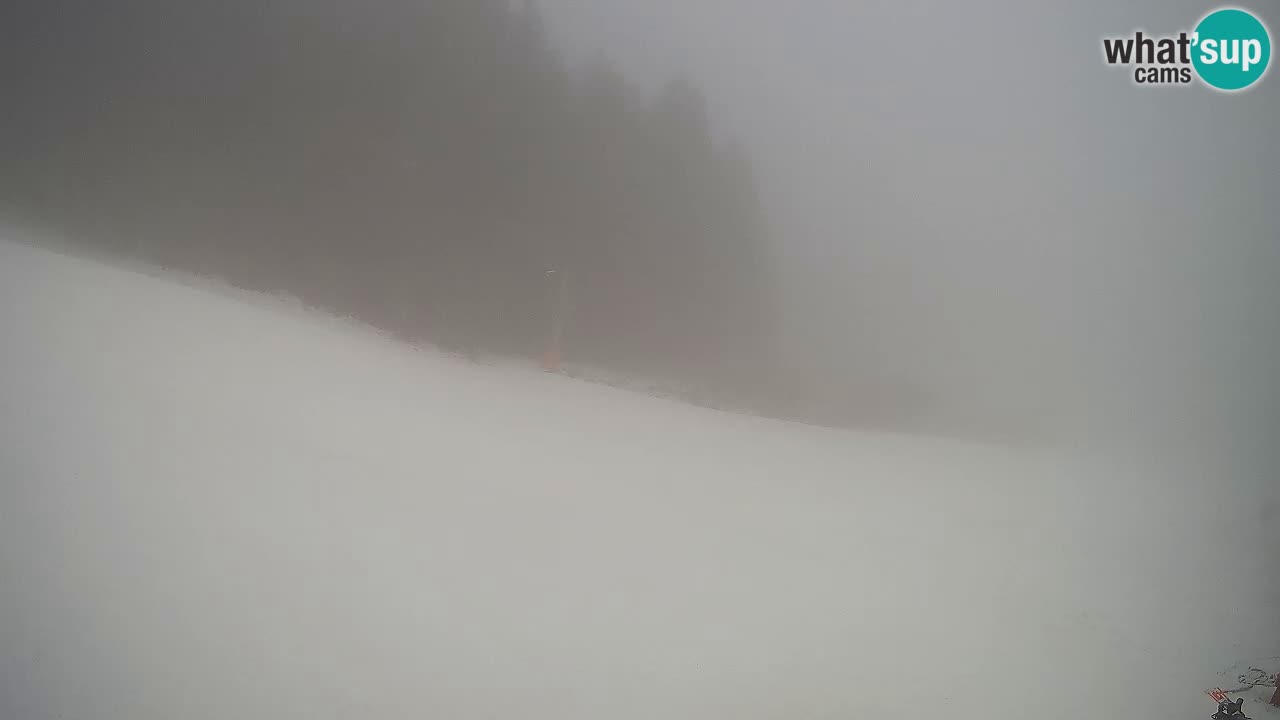 Live webcam Ski center Bukovnik