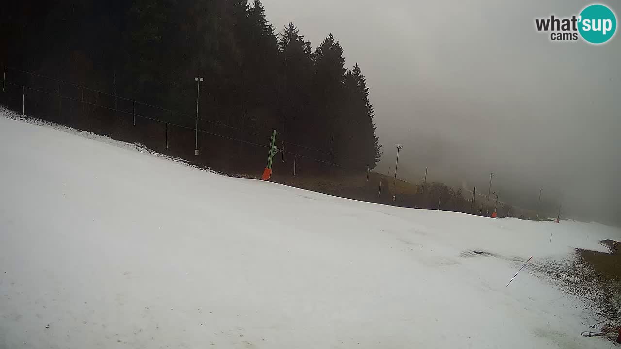 Live webcam Ski center Bukovnik