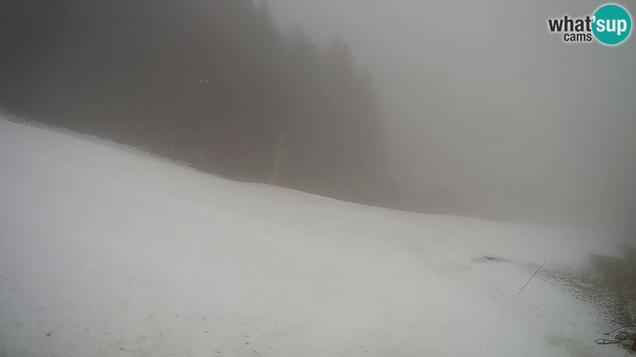 Live webcam Ski center Bukovnik