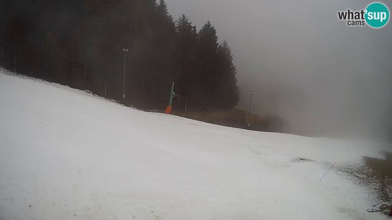 Live webcam Ski center Bukovnik