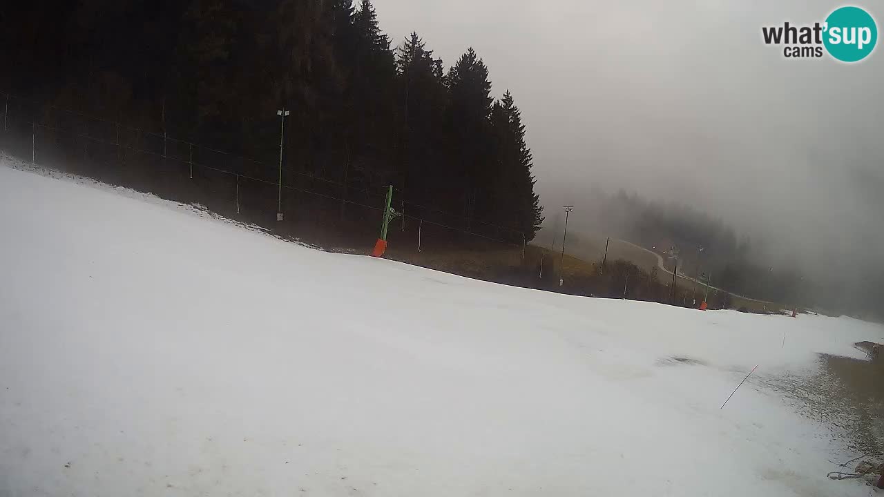 Live webcam Ski center Bukovnik