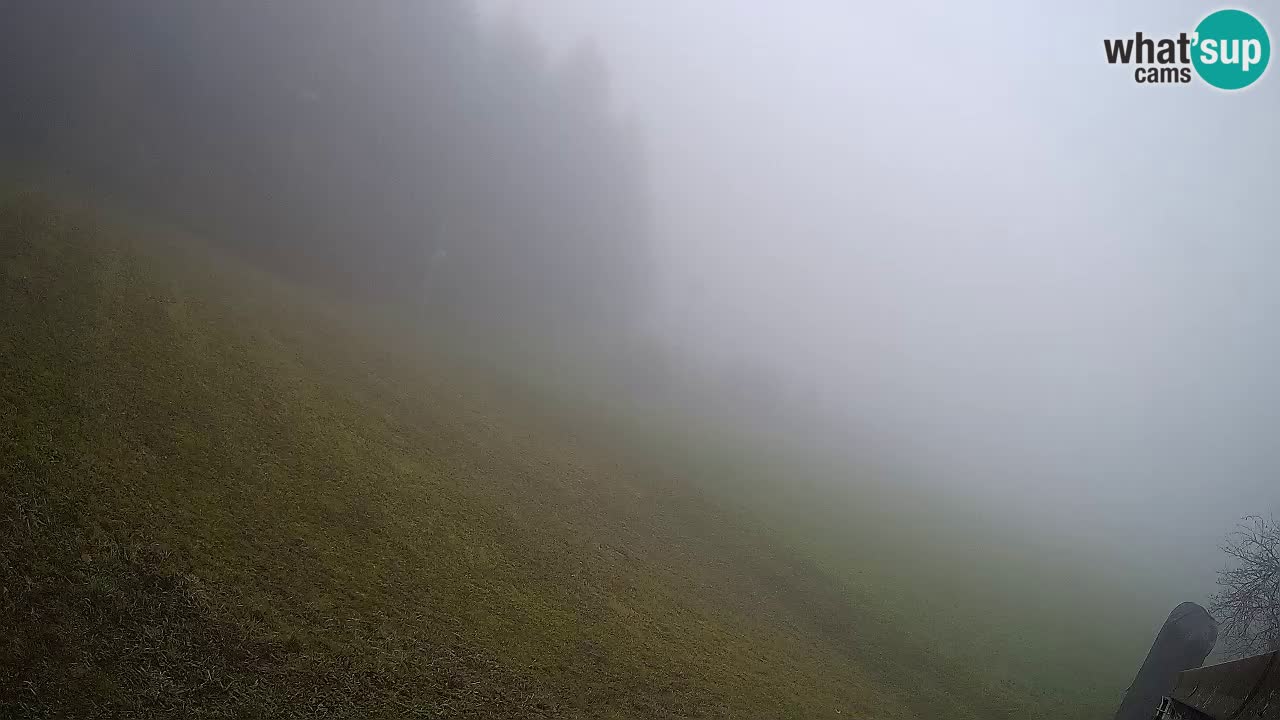 Live webcam Ski center Bukovnik