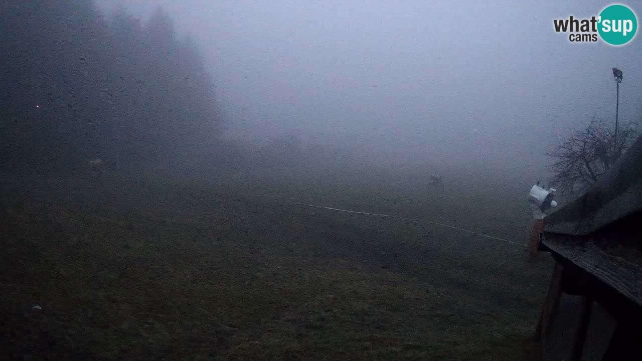 Live webcam Ski center Bukovnik