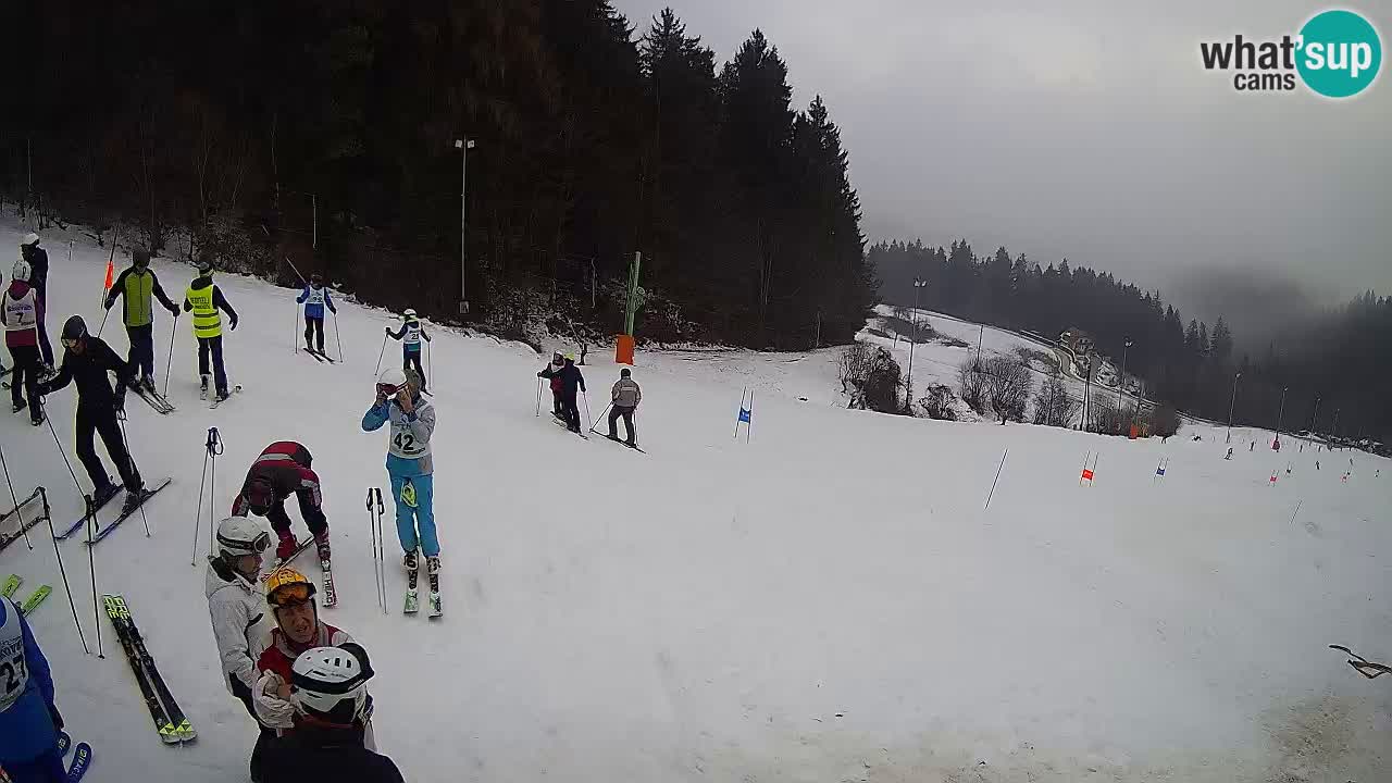Live webcam Ski center Bukovnik