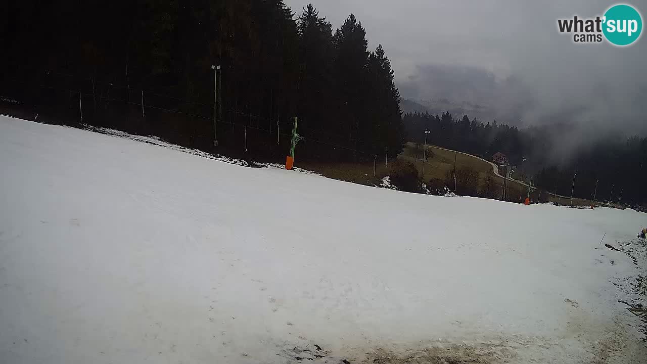 Live webcam Ski center Bukovnik