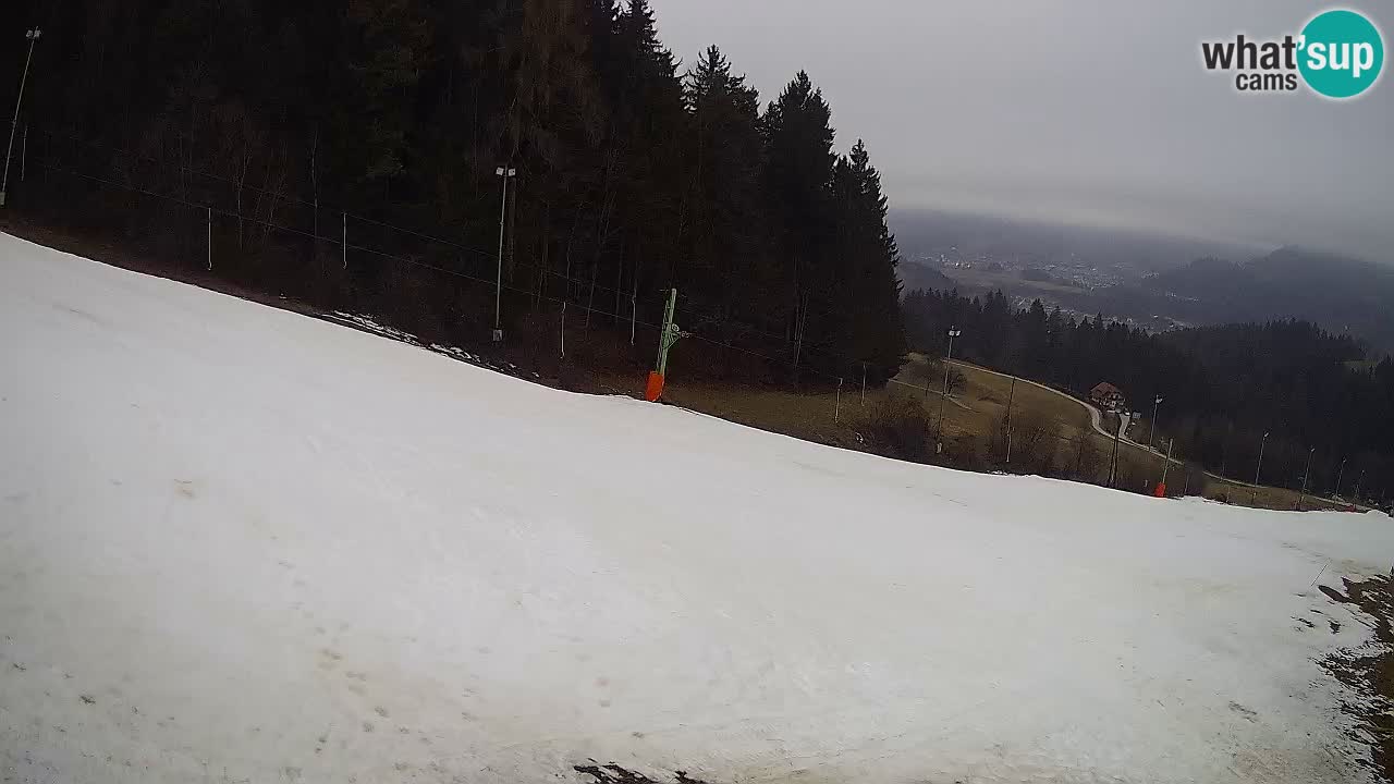 Live webcam Ski center Bukovnik