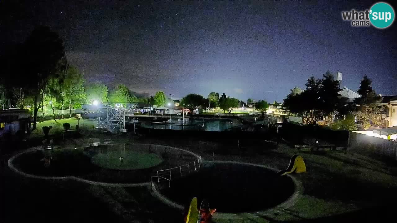 Celje – Piscina estiva