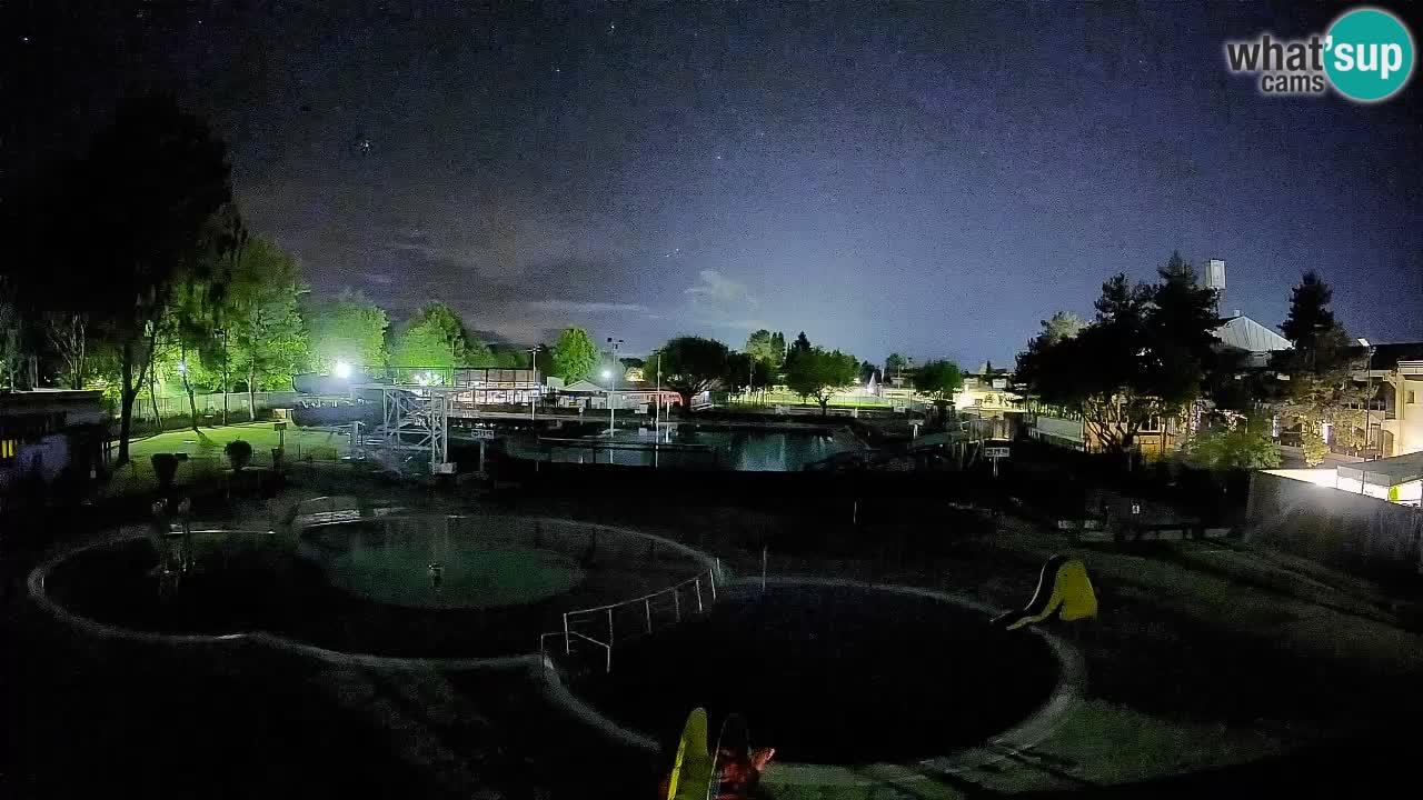 Celje – Piscine d’été