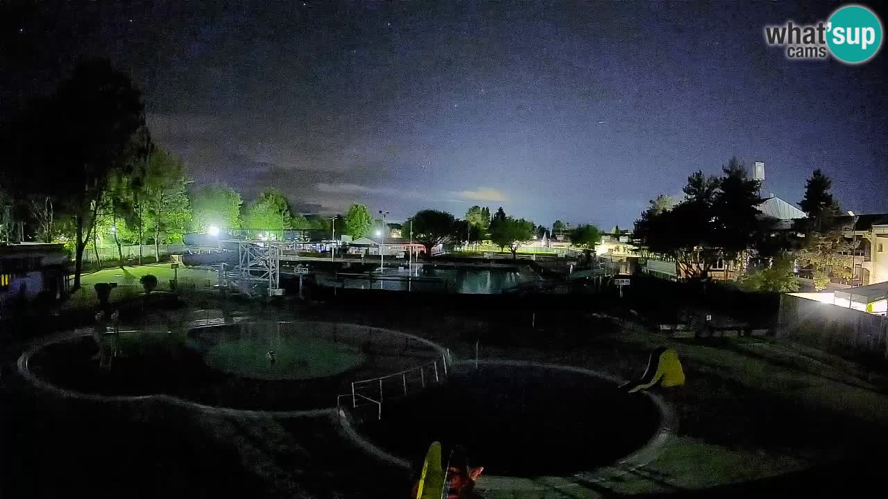 Celje – piscina al aire libre
