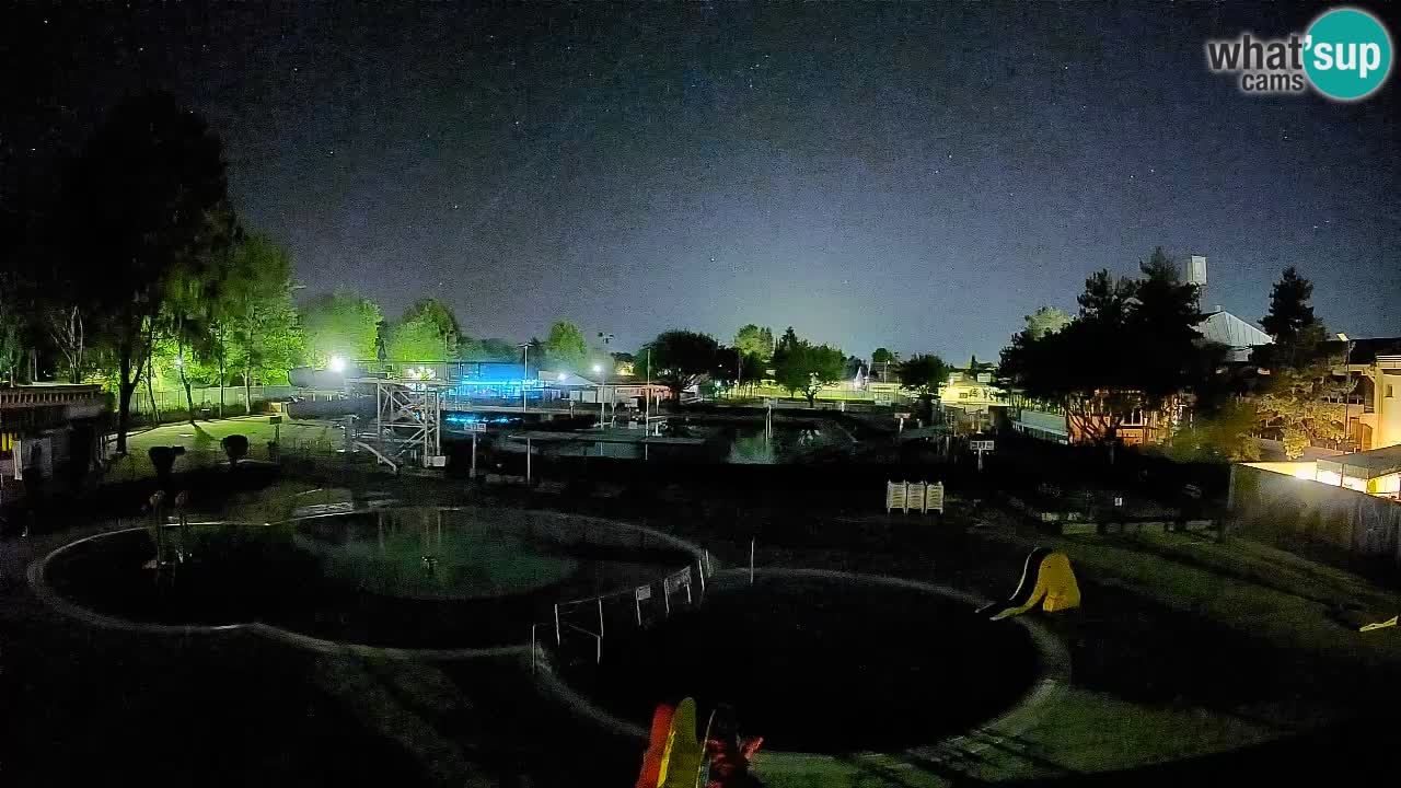 Celje – Piscine d’été