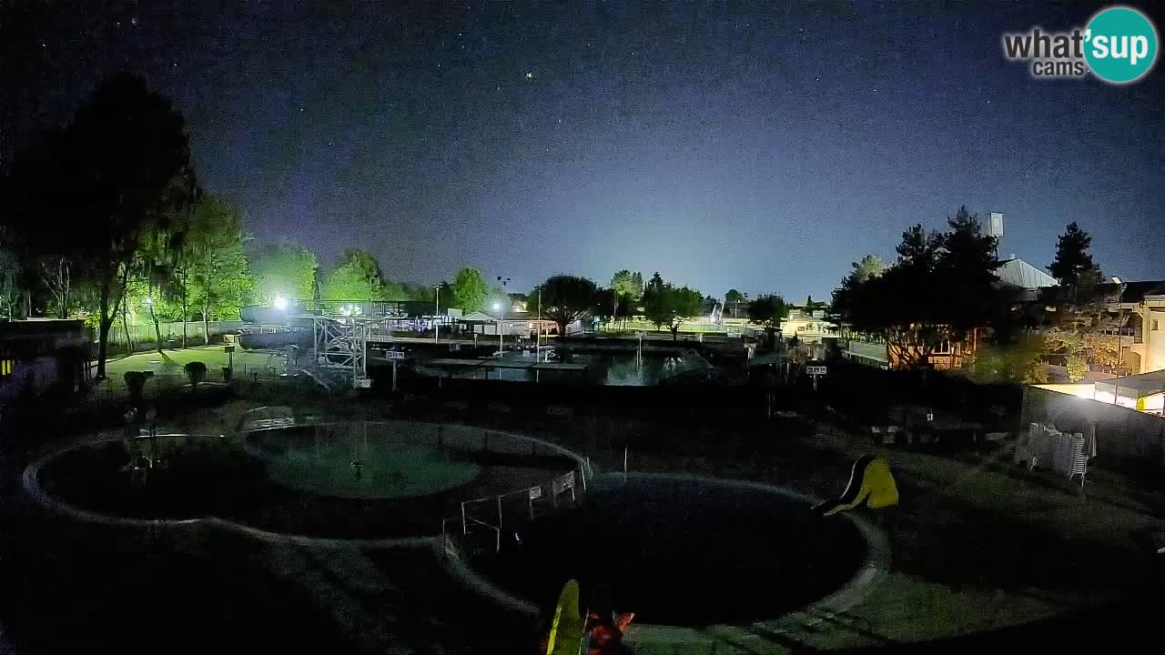 Celje summer open-air swimming pool