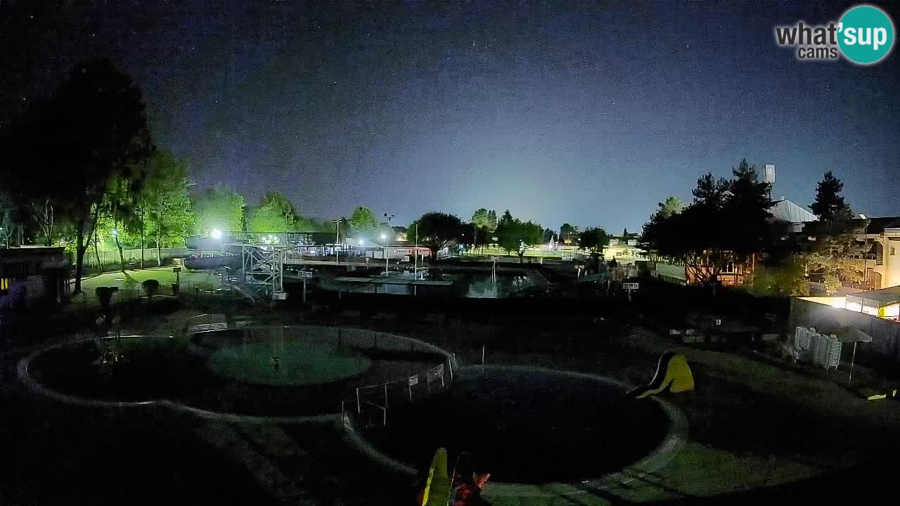 Celje summer open-air swimming pool