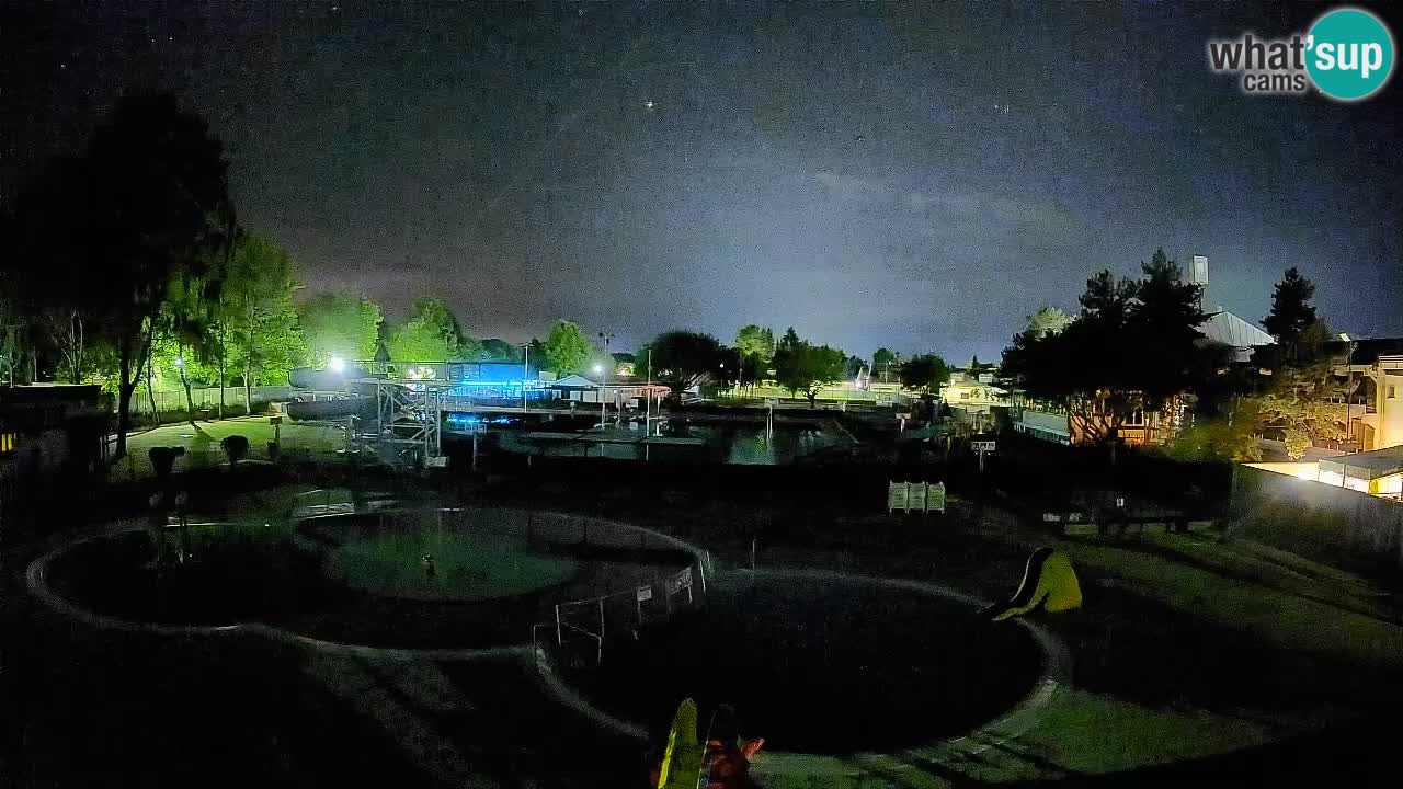 Celje summer open-air swimming pool