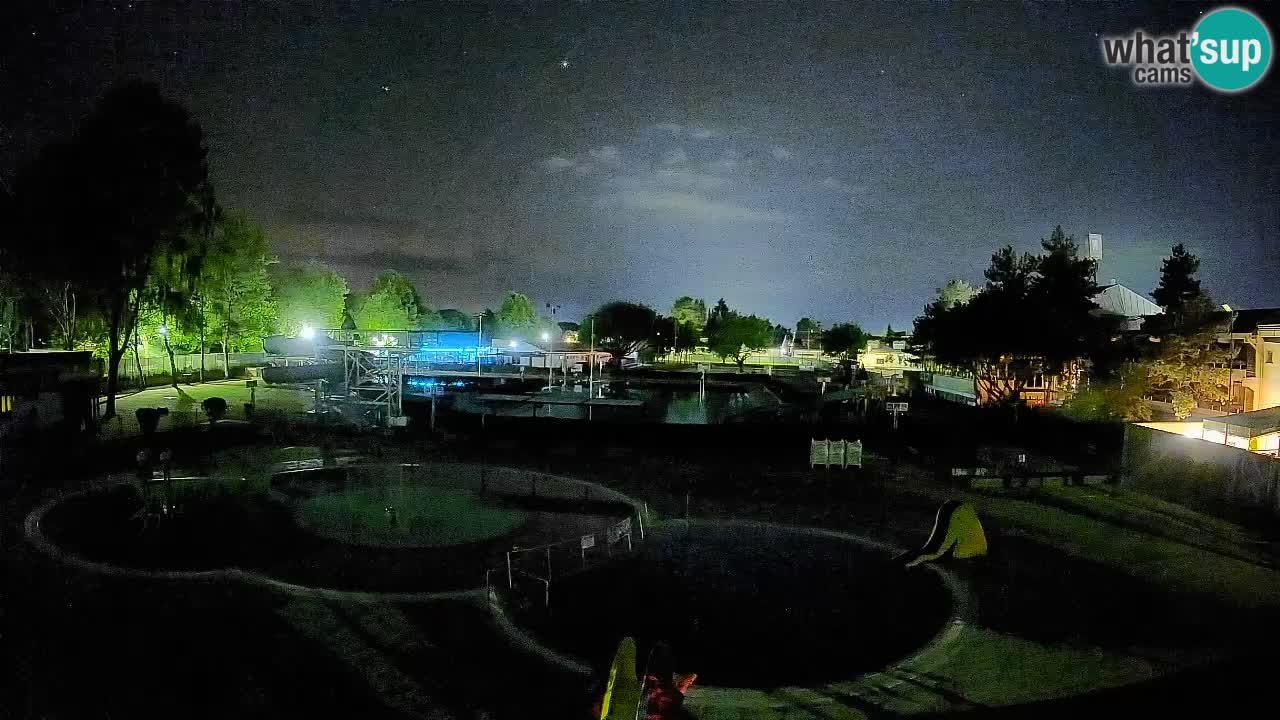 Celje – Piscina estiva
