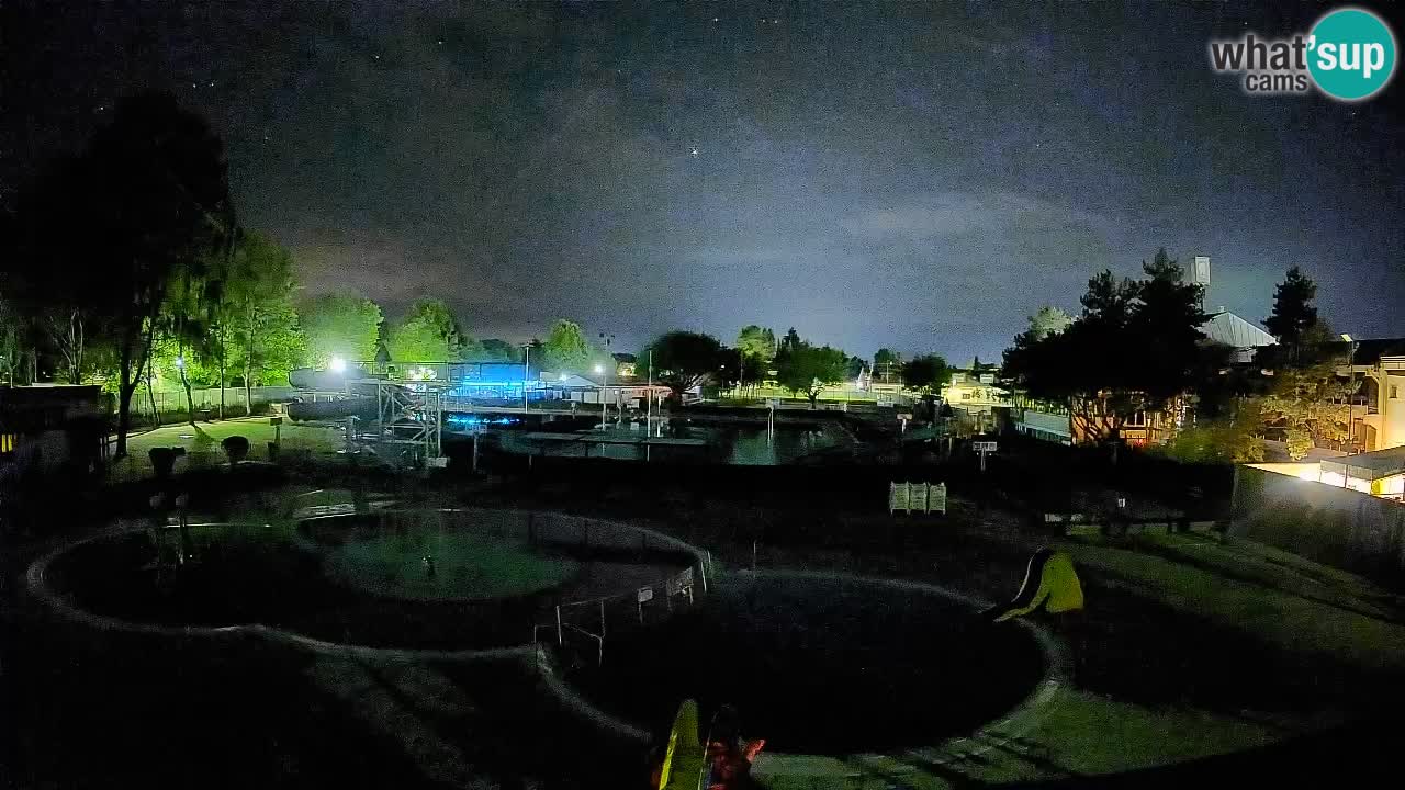 Celje summer open-air swimming pool
