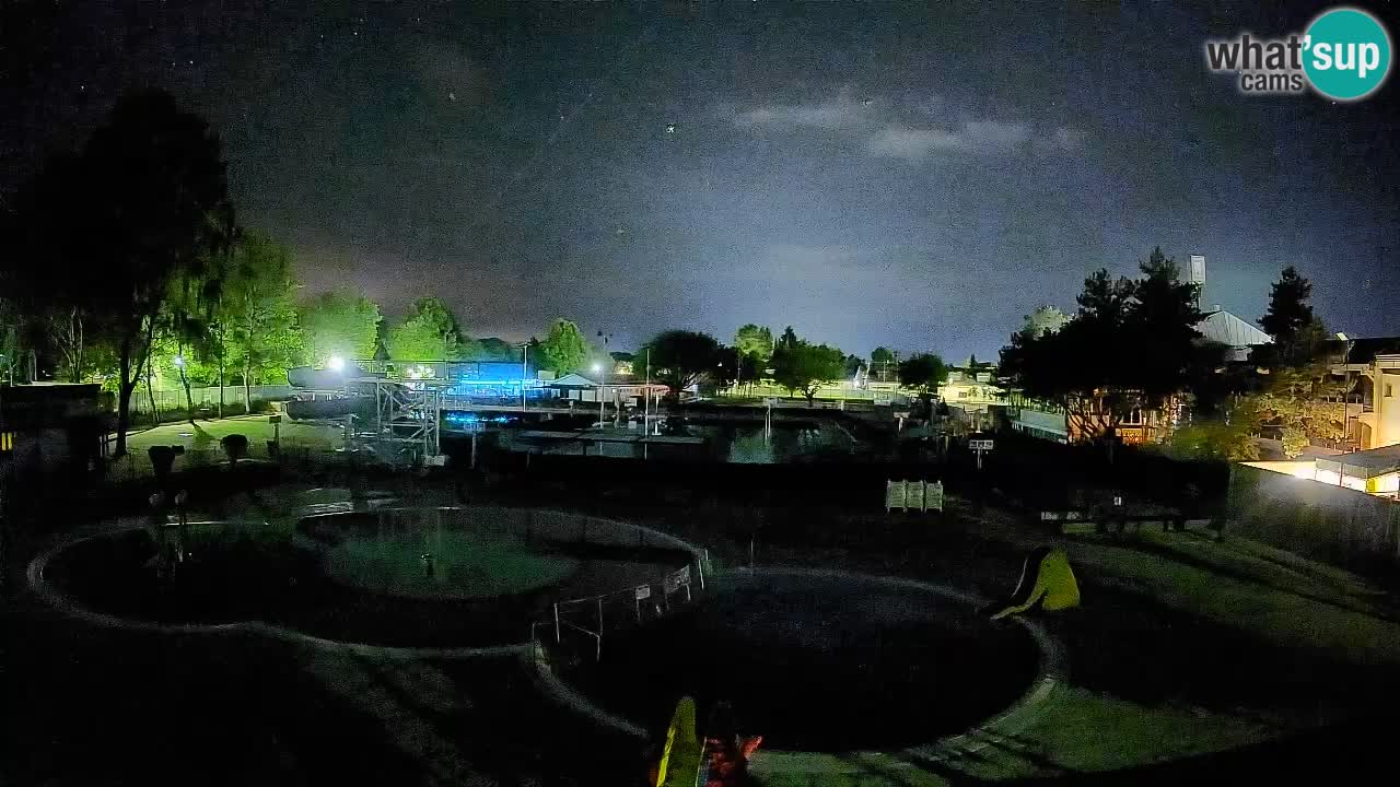 Celje summer open-air swimming pool