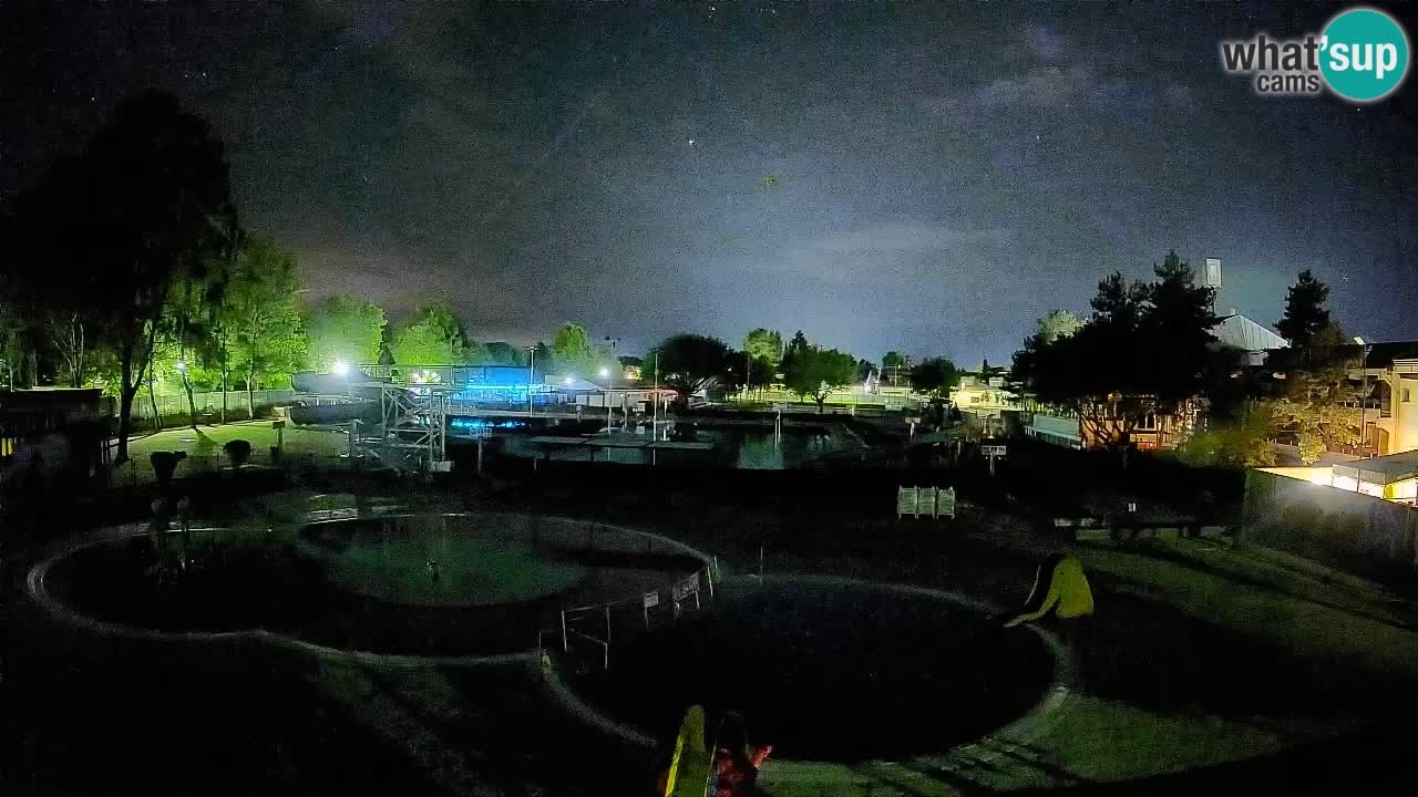 Celje summer open-air swimming pool