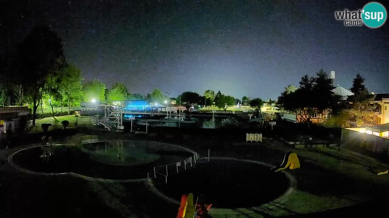 Celje summer open-air swimming pool