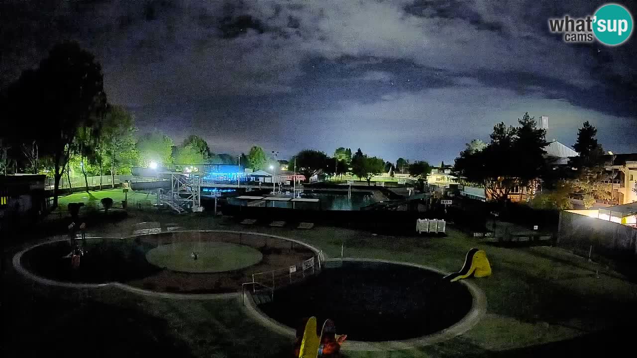 Celje – Piscina estiva
