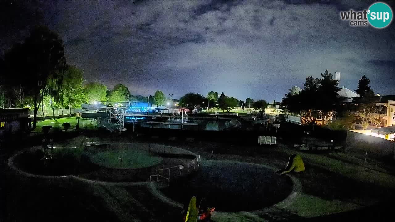 Celje – Piscina estiva