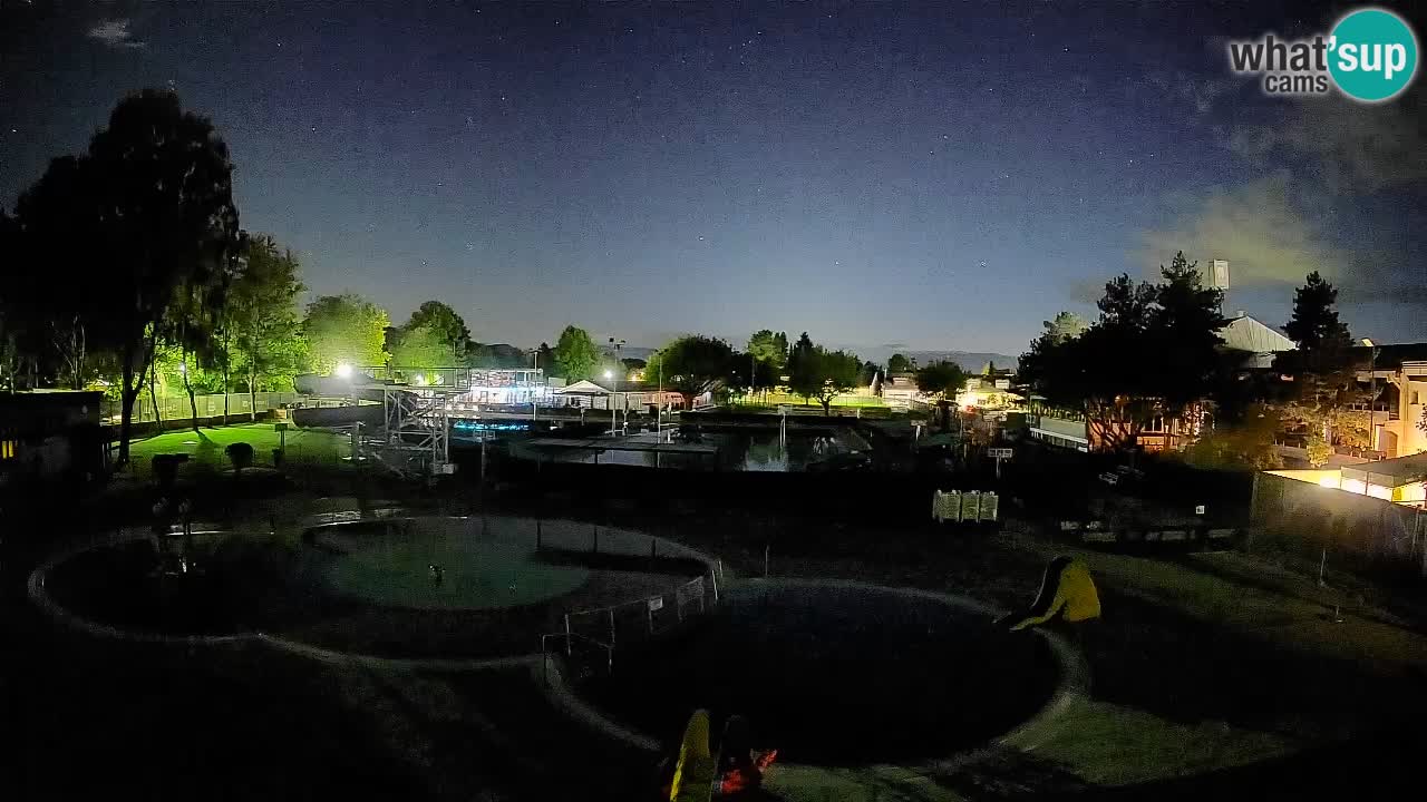 Celje summer open-air swimming pool