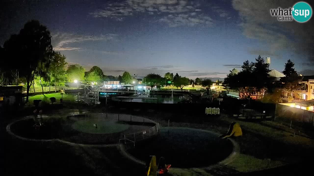 Celje – Letno kopališče