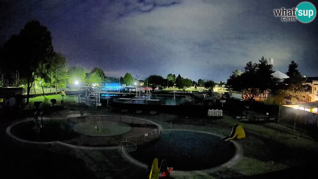 Celje – Letno kopališče
