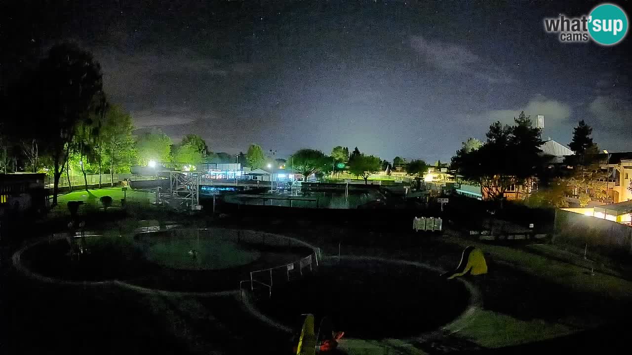 Celje summer open-air swimming pool