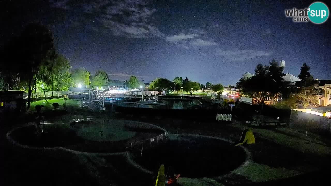 Celje – Sommerpool