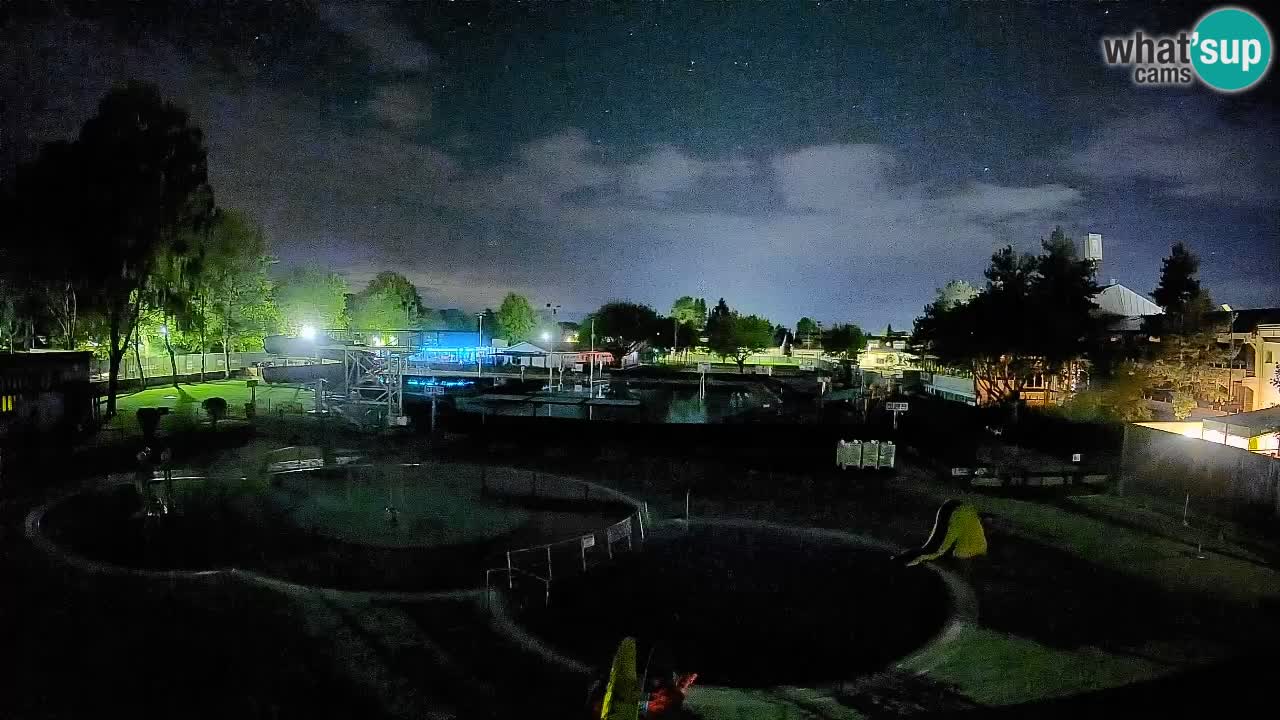 Celje – Piscine d’été