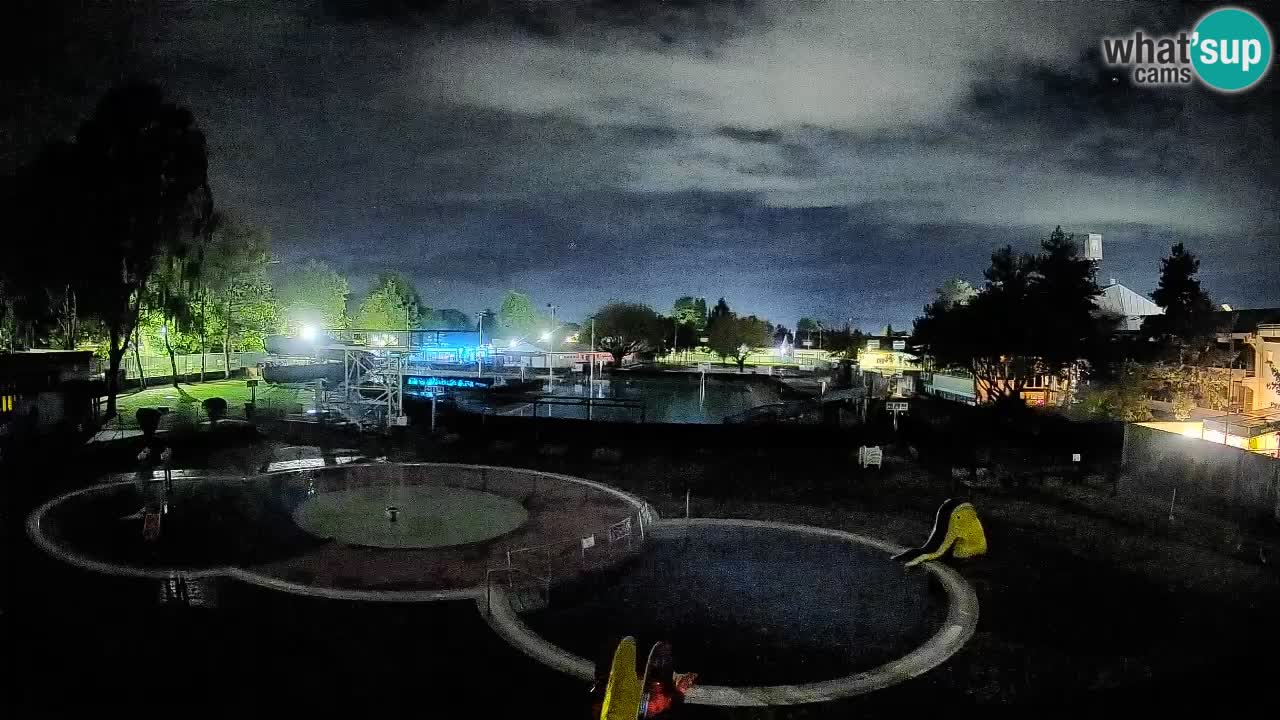Celje – piscina al aire libre