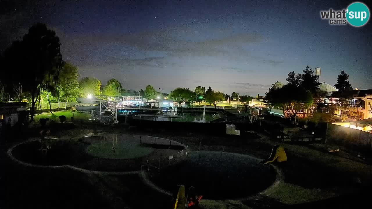 Celje – Piscina estiva