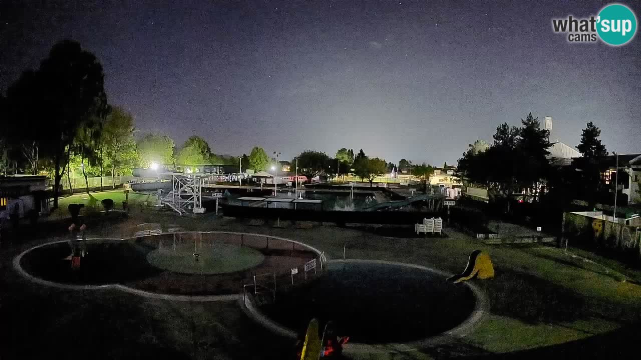 Celje – piscina al aire libre